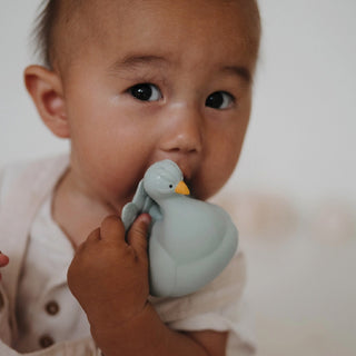 Peacock Teething Bath Toy