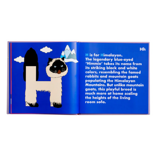 Cat Alphabet Book on DLK