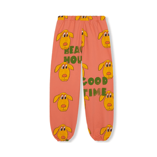 Fresh Dinosaurs Kids Sweatpants on Design Life Kids