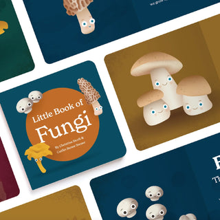 A Little Book of Fungi Board Book for little foodies at DLK