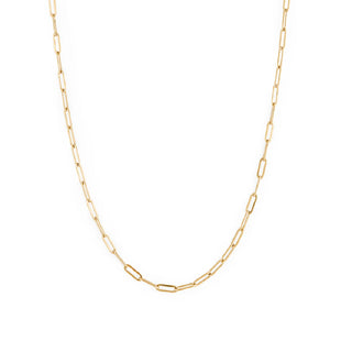 Modern and Minimalist Gold Paperclip Chain Necklace at DLK