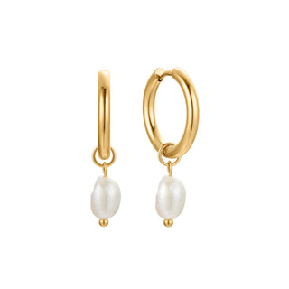 Gold Aria Pearl Hoop Earrings at DLK