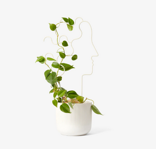 Areaware Human Plant Trellis on Design Life Kids